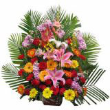 ·ʻٵ